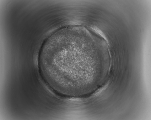 X0000089680581200707051608