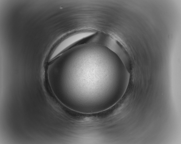 X0000089680584200707051608