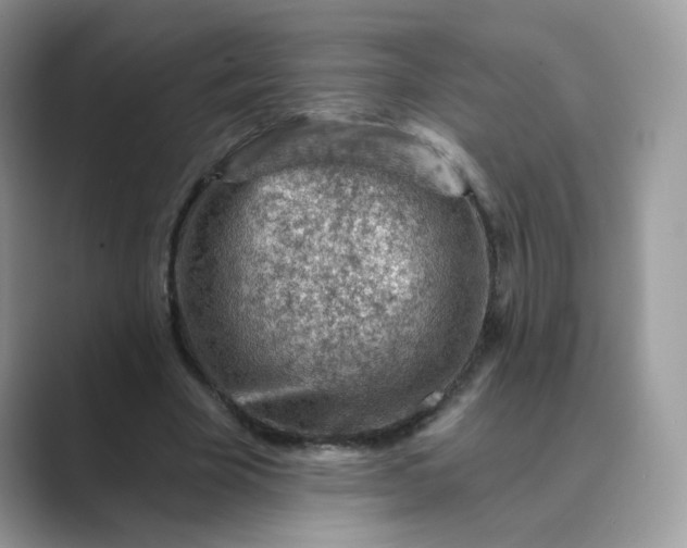 X0000089680585200707051608