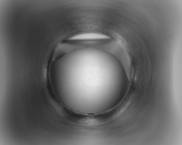 X0000089680589200707051608