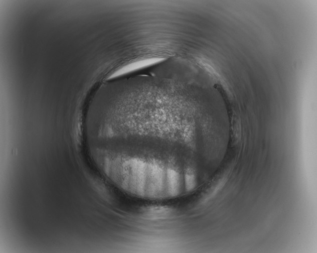 X0000089680590200707051608