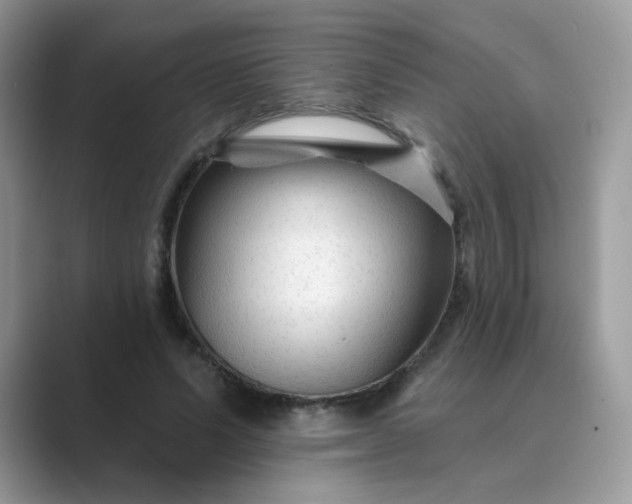 X0000089680591200707051608