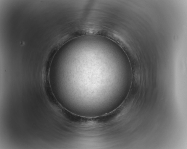 X0000089680594200707051608