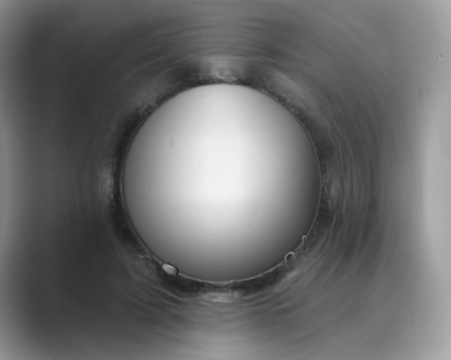 X0000089680595200707051608