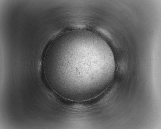 X0000089680596200707051608