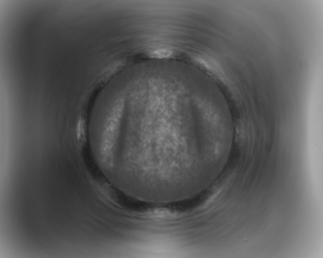 X0000089680598200707051608