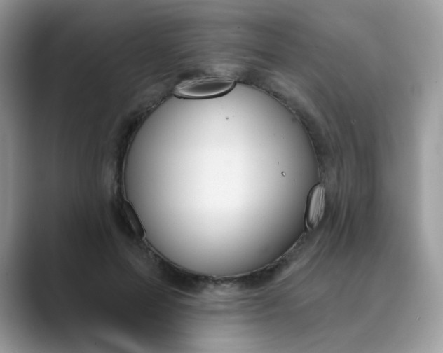 X0000089680599200707051608