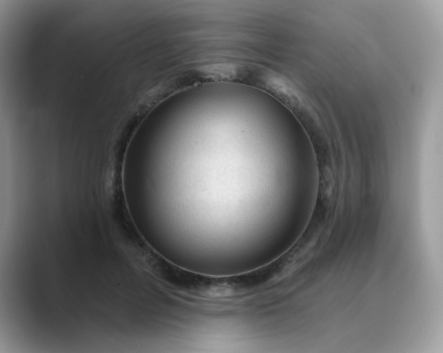X0000089680600200707051608