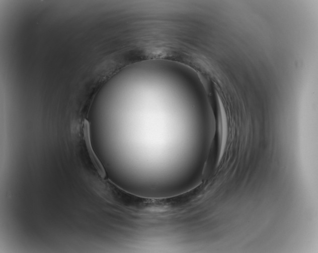 X0000089680601200707051608