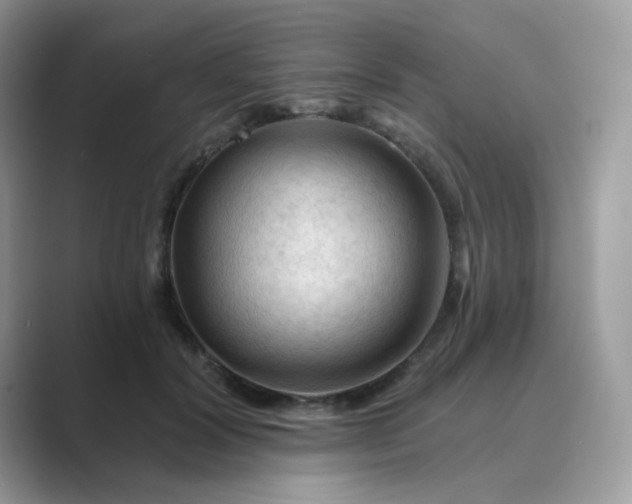 X0000089680604200707051608