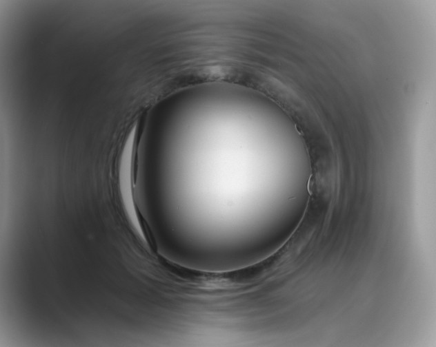 X0000089680605200707051608