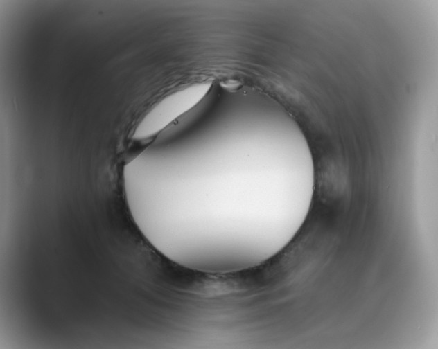 X0000089680608200707051608