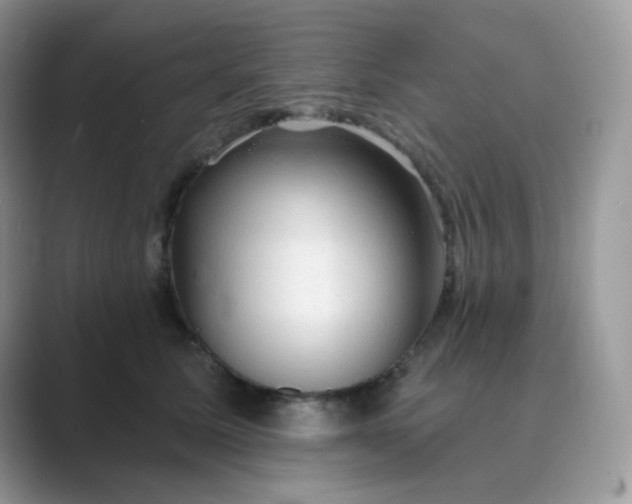 X0000089680611200707051608