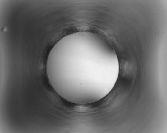 X0000089680614200707051608