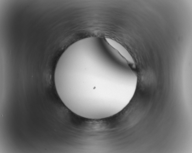 X0000089680615200707051608