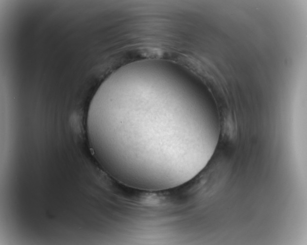 X0000089680616200707051608