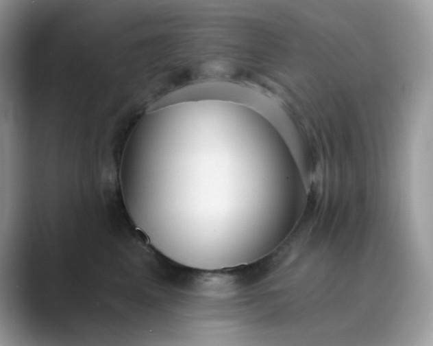 X0000089680617200707051608
