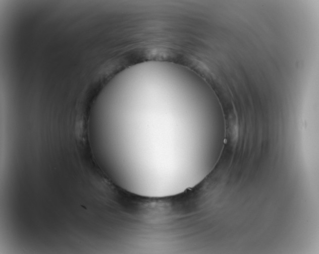 X0000089680619200707051608