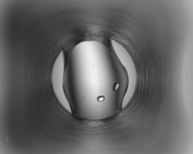 X0000089680621200707051607