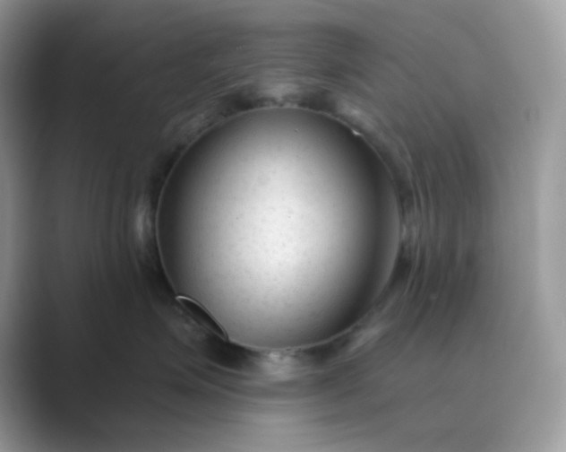 X0000089680623200707051607