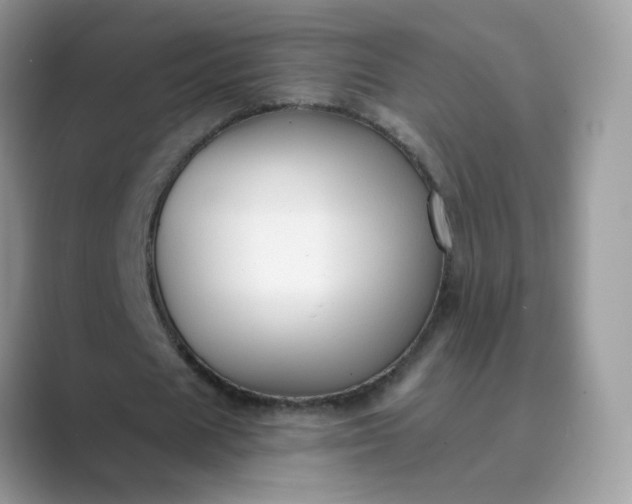 X0000089680625200707051607