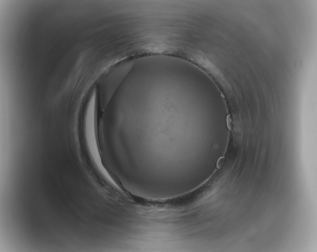 X0000089680626200707051607