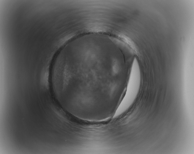 X0000089680627200707051607