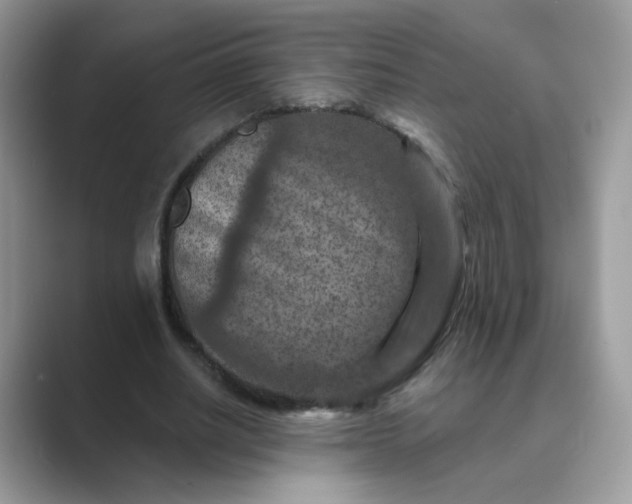 X0000089680630200707051607