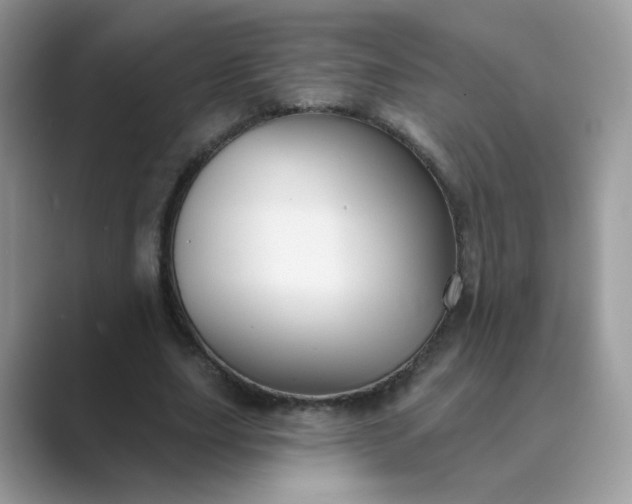 X0000089680631200707051607