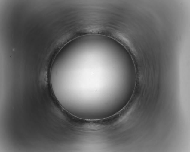 X0000089680633200707051607
