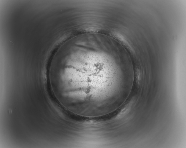 X0000089680634200707051607