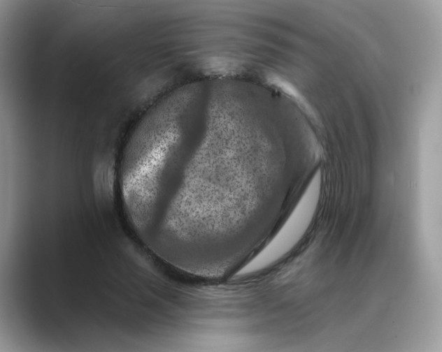 X0000089680637200707051607