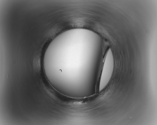 X0000089680638200707051607