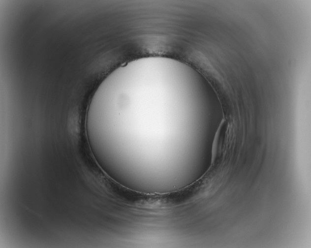 X0000089680639200707051607