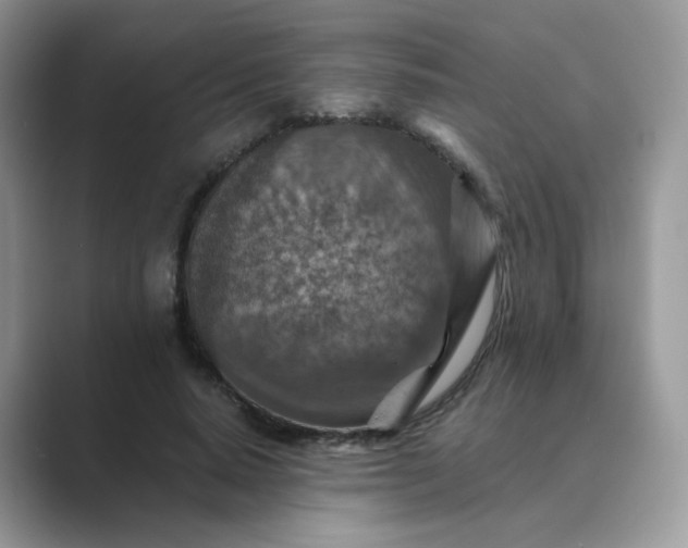 X0000089680640200707051607