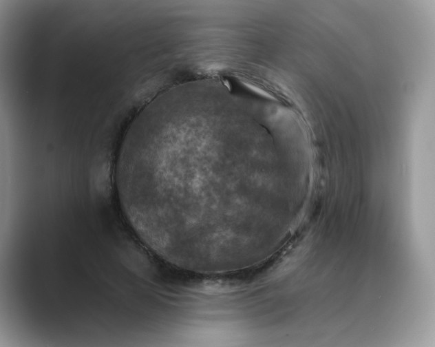X0000089680641200707051607