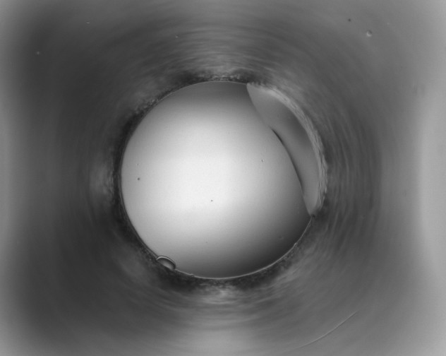 X0000089680642200707051607