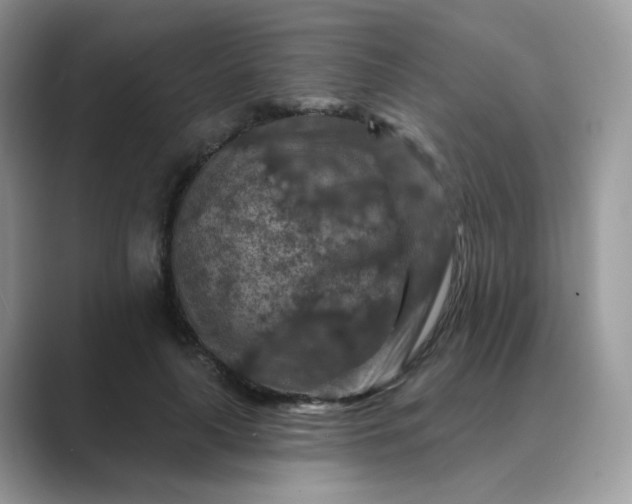 X0000089680643200707051607