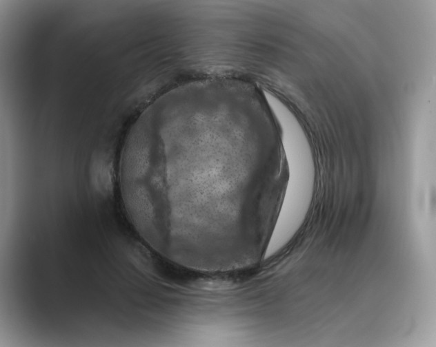 X0000089680644200707051607