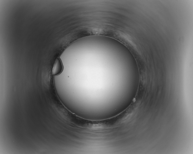 X0000089680645200707051607