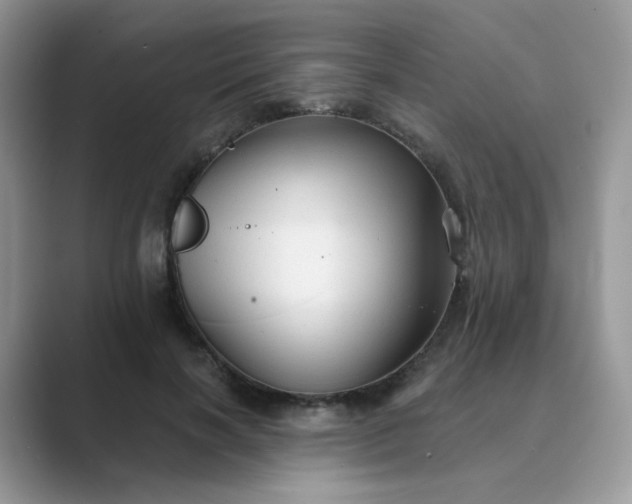 X0000089680646200707051607
