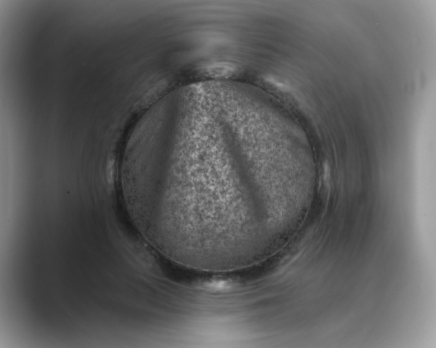 X0000089680647200707051607