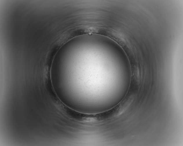 X0000089680649200707051607