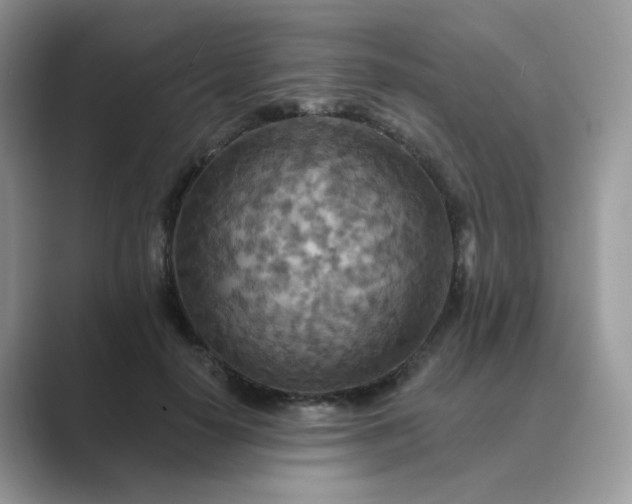 X0000089680650200707051607