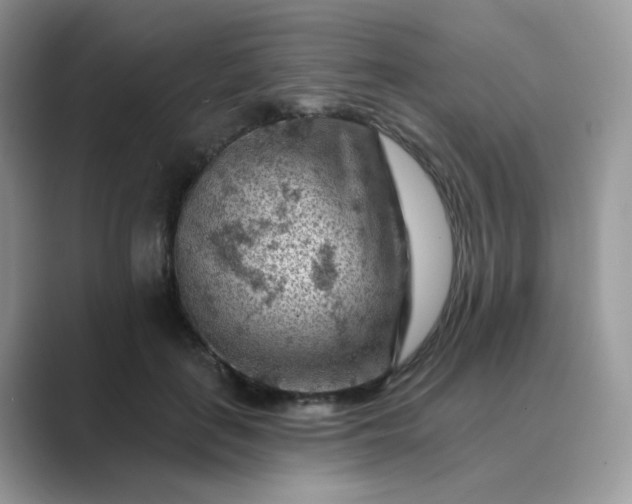 X0000089680651200707051607