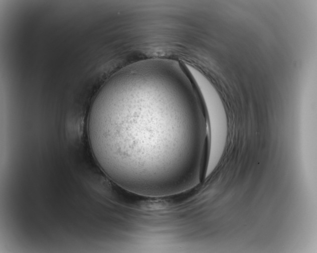 X0000089680652200707051607