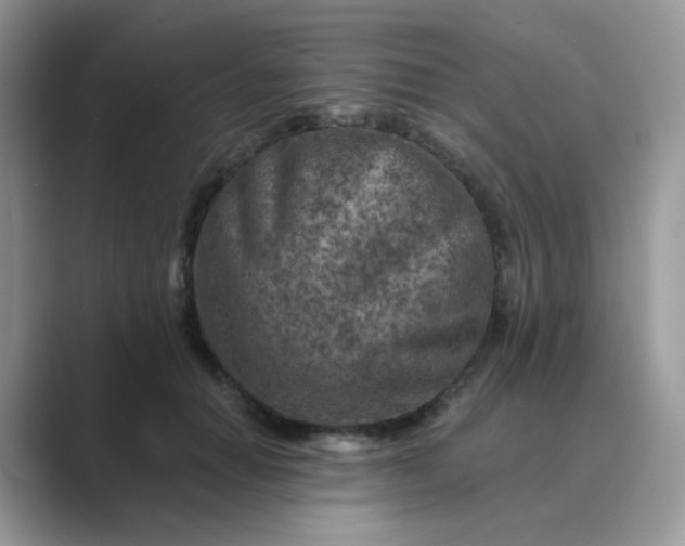 X0000089680654200707051607