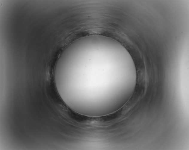 X0000089680655200707051607