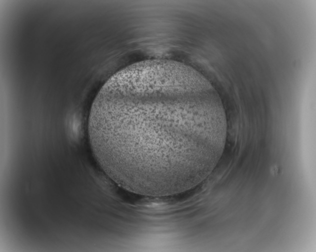 X0000089680658200707051607