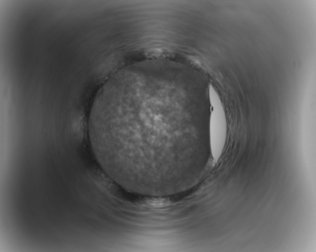 X0000089680659200707051607